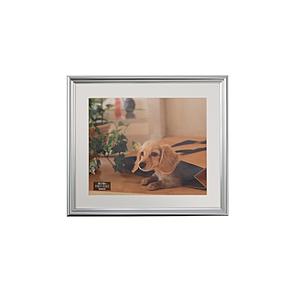 Nakabayashi 樹脂製写真額 四ツ切判 | ナカバヤシ