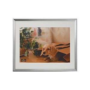 Nakabayashi 樹脂製写真額 A3判 | ナカバヤシ