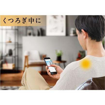 ピップ 家庭用永久磁石磁気治療器 PIP Z： SPINNER（ピップ ジースピナー）1個入り | ピップ | 02