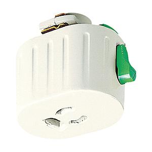 Panasonic(パナソニック) Panasonic 抜止めコンセントプラグ 2P15A E付 DH2477 | Panasonic