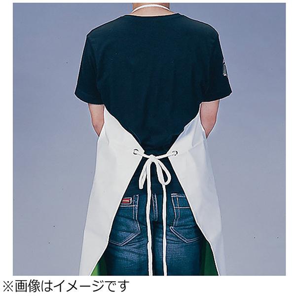 遠藤商事 機能性エプロン ガードロン 塩ビ抗菌 ひもL ブルー ＜SEP8609＞ | 遠藤商事 | 02