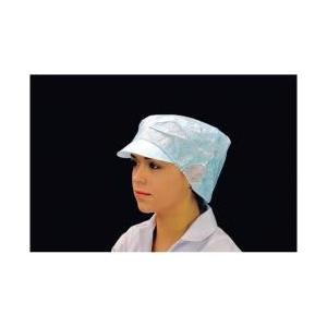 遠藤商事 帯電帽 つば付(20枚入) LL ブルー 66112B ＜STI0406＞ | 遠藤商事