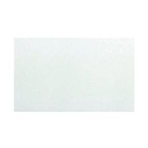 石崎電機製作所 プラジェット用セラミックペーパー PJ-216A・218A用 ZCP4 | 