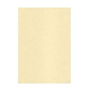 森本化成 ME-313 NEW鳥の子 生成 105g/m2 A4(15) 0.22mm | 