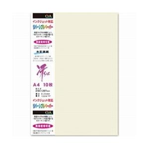 菅公工業 両面カラーリバーシブルペーパー（A4サイズ・10枚/ライトグレー）　モリ104 【864】 | 