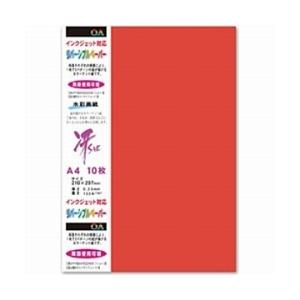 菅公工業 両面カラーリバーシブルペーパー（A4サイズ・10枚/レッド）　モリ120 【864】 | 