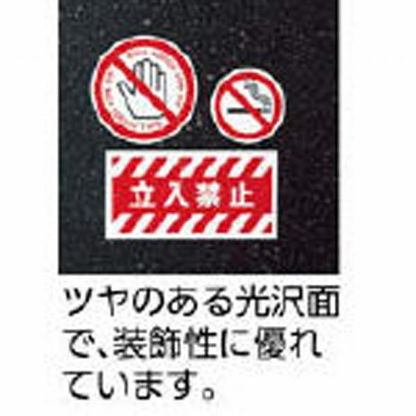 エーワン 屋外でも使えるサインラベルシール LP 光沢フィルムA4 | エーワン | 01