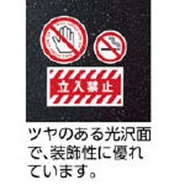 エーワン 31035 （レーザープリンタラベル 屋外で使えるタイプ シルバーツヤ消しフィルム A4判 ノーカット） 【864】 | エーワン | 01