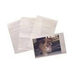 キング ハイゼックス袋 （8切サイズ/100枚入り） | 