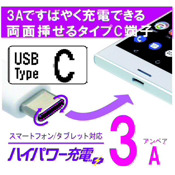 カシムラ 家庭用AC充電器 Type-C AC-005 | Kashimura | 02