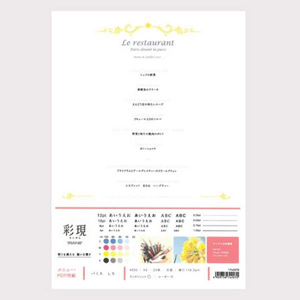 PCM竹尾 1742070 パミス しろ A4（20） [彩現　メニュー・POP用紙] |  | 02