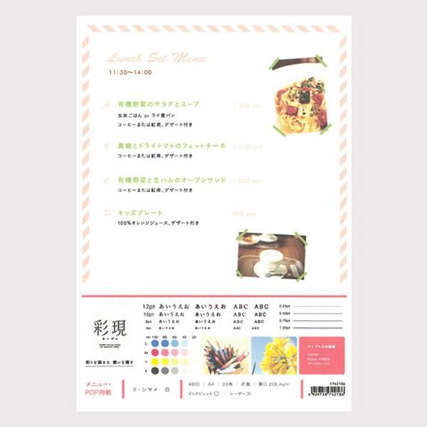 PCM竹尾 1742186 リ・シマメ 白 A4（20） [彩現　メニュー・POP用紙] |  | 02