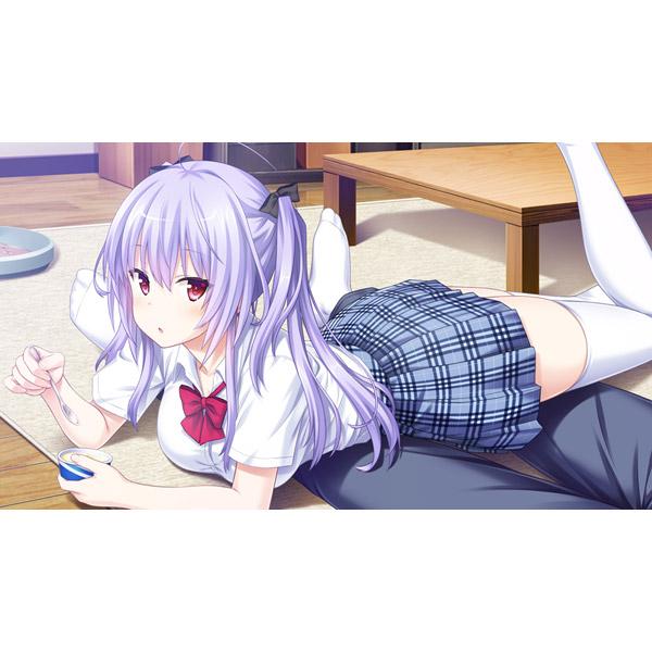 エンターグラム となりに彼女のいる幸せ〜Summer Surprise〜 プレミアムエディション 【PS4ゲームソフト】 | エンターグラム | 04