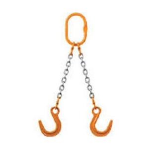 象印チェンブロック チェーンスリング100（アイタイプ）　2MFFYN10 | 