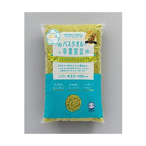 本多タオル バスタオル卒業宣言 本多タオル ピスタチオグリーン | 