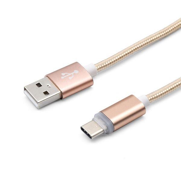 タイムリー USB-A ⇔ USB-Cケーブル [充電 /転送 /1.0m /USB2.0]  ゴールド GN-INDTC1M-GD ［USB-A ⇔ USB-C］ | タイムリー | 01