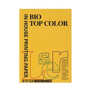 伊東屋 BT123(バイオトップカラー/オールドゴールド/A4/100マイ/80G | 
