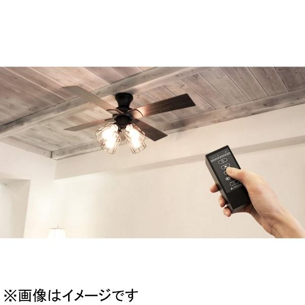 ライフオンプロダクツ シーリングファン JAVALO ELF ブラック JE-CF001V ［リモコン付き］ |  | 04