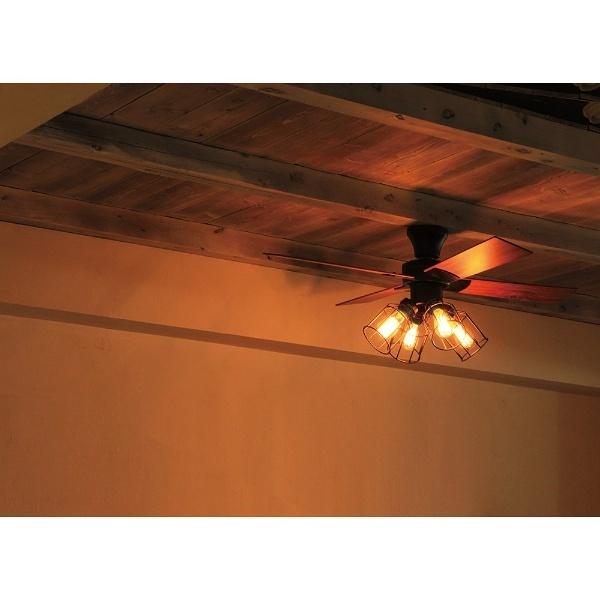 ライフオンプロダクツ シーリングファン JAVALO ELF ブラック JE-CF001V ［リモコン付き］ |  | 06