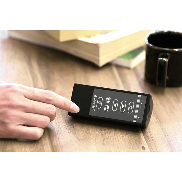 ライフオンプロダクツ Modern Collection シーリングファン フィラメントLED付 JAVALO ELF  JE-CF003-GD ［リモコン付き］ |  | 03