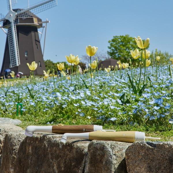 ライフオンプロダクツ コードレス電動ブラシ ナチュラルウッド LNACN003-NW |  | 02