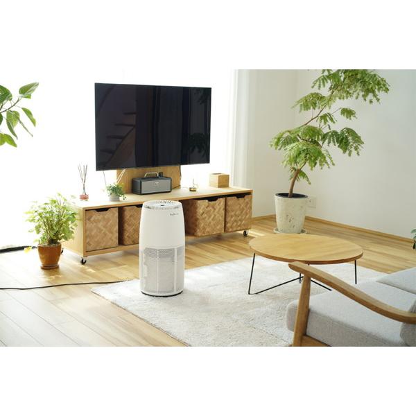 アンデス電気 空気清浄機 バイオミクロンサークル  BM-H702A ［適用畳数：29畳 /PM2.5対応］ |  | 02