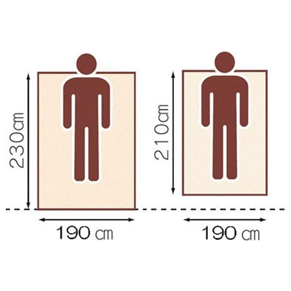 生毛工房 肌掛け羽毛布団「生毛ふとん」 PR410-B2 [ダブルロング(190×230cm) /夏用 /ポーランド産ホワイトグースダウン95％ ] 【キャンセル不可】 |  | 02