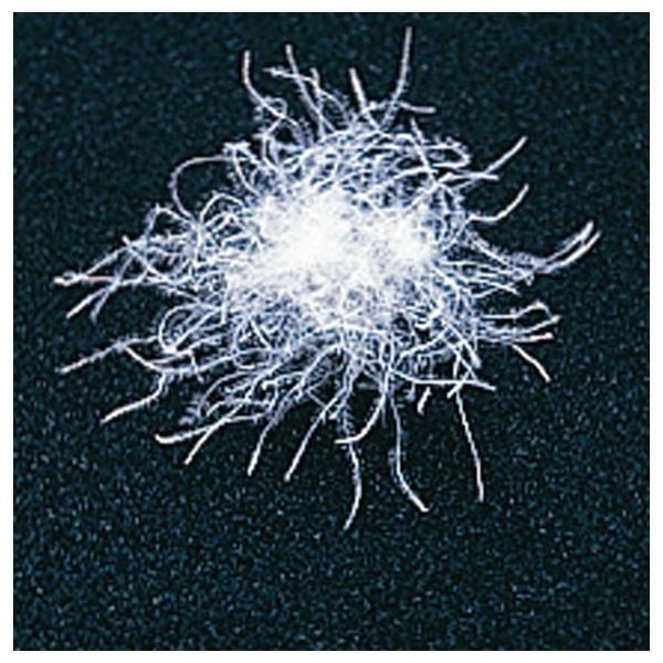 生毛工房 肌掛け羽毛布団「生毛ふとん」 PR410-B2 [ダブルロング(190×230cm) /夏用 /ポーランド産ホワイトグースダウン95％ ] 【キャンセル不可】 |  | 03