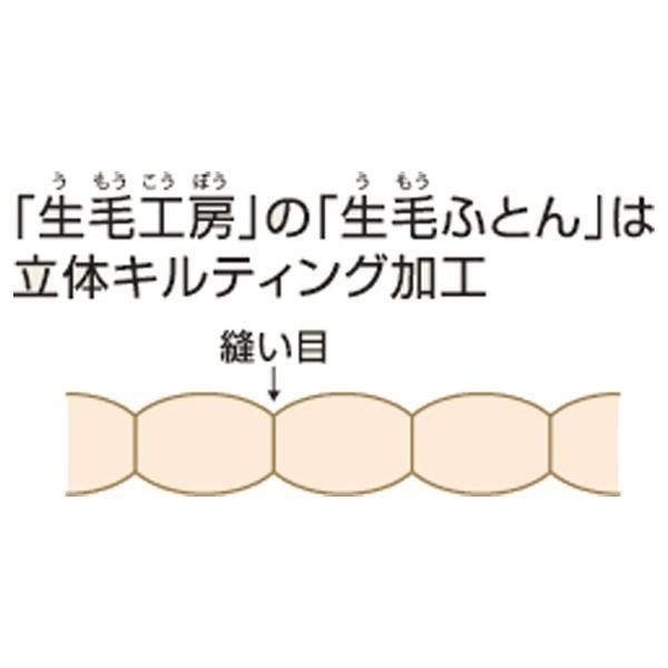 生毛工房 本掛け羽毛布団「生毛ふとん」 PR410M [ダブル(190×210cm) /冬用 /ポーランド産ホワイトグースダウン95％ ] 【キャンセル不可】 |  | 01