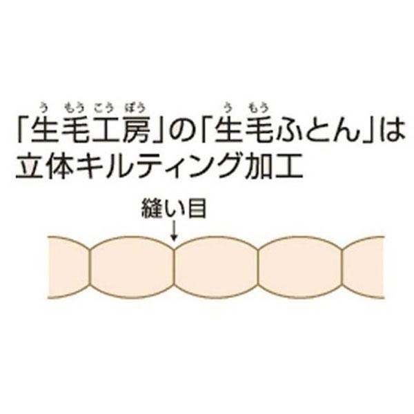 本掛け羽毛布団 PM480 [ダブルロング(190×230cm) /冬用 /ポーランド産ホワイトマザーグースダウン95％ /日本製]   PM-480 ［ダブルロング(190×230cm)］ |  | 05