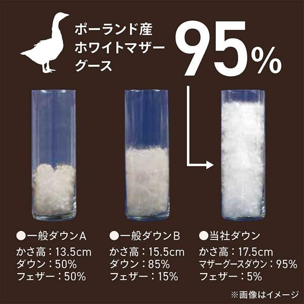 本掛け羽毛布団 PM480 [クィーン(210×210cm) /冬用 /ポーランド産ホワイトマザーグースダウン95％ /日本製]   PM-480 ［クィーン(210×210cm)］ |  | 03