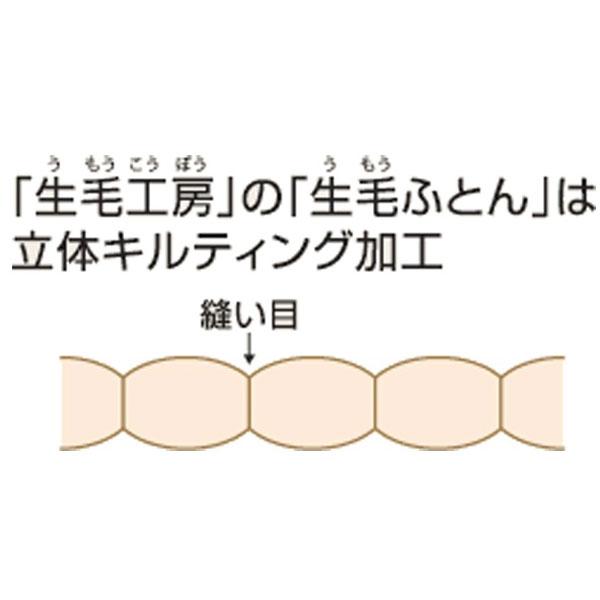 合い掛け羽毛布団 PM480-A [クィーン(210×210cm) /春・秋用 /ポーランド産ホワイトマザーグースダウン95％ /日本製]   PM-480-A ［クィーン(210×210cm)］ |  | 05