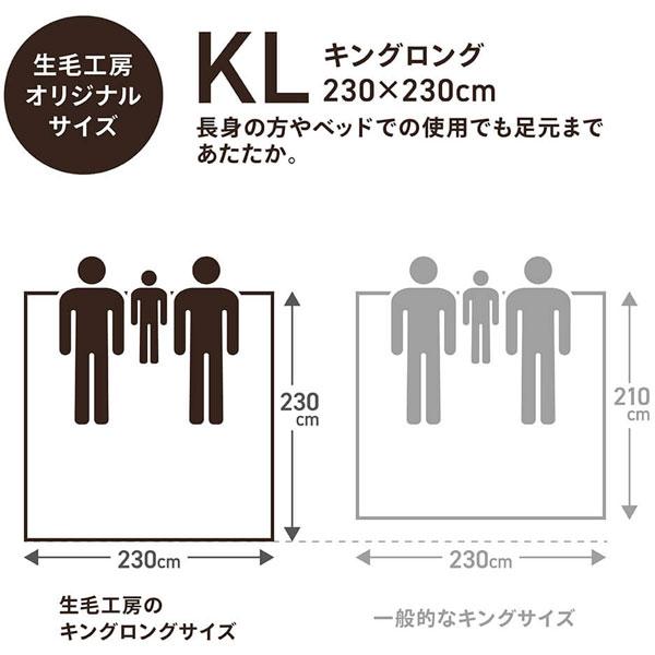 肌掛け羽毛布団 PM480-B2 [キングロング(230×230cm) /夏用 /ポーランド産ホワイトマザーグースダウン95％ /日本製]   PM-480-B2 ［キングロング(230×230cm)］ |  | 04