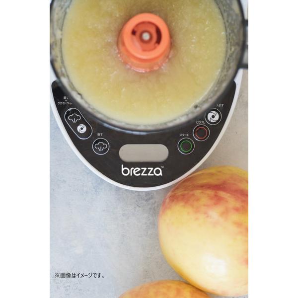 ティーレックス フードメーカー 離乳食調理器 ブレッツァ |  | 15