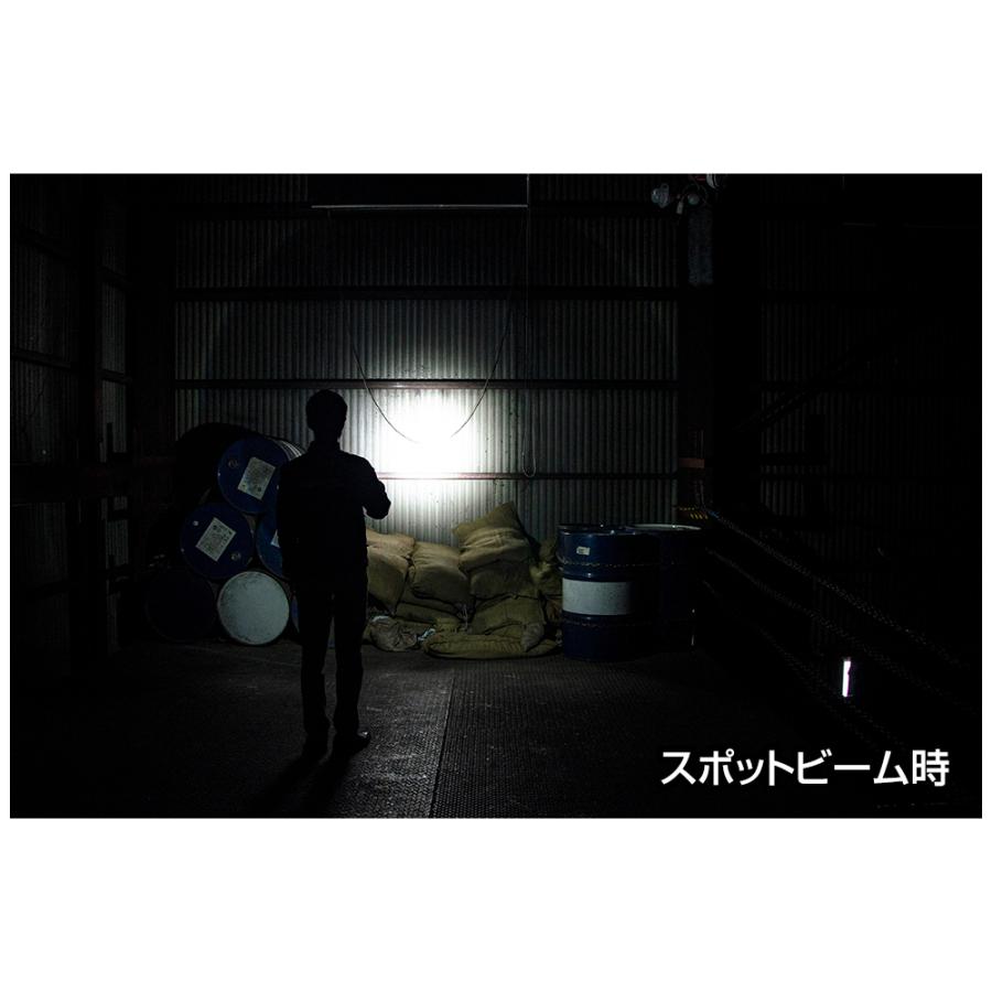 ジェントス GENTOS REXEEDシリーズ フラッシュライト   RX-022DS ［LED /単2乾電池×2 /防水対応］ | GENTOS | 05