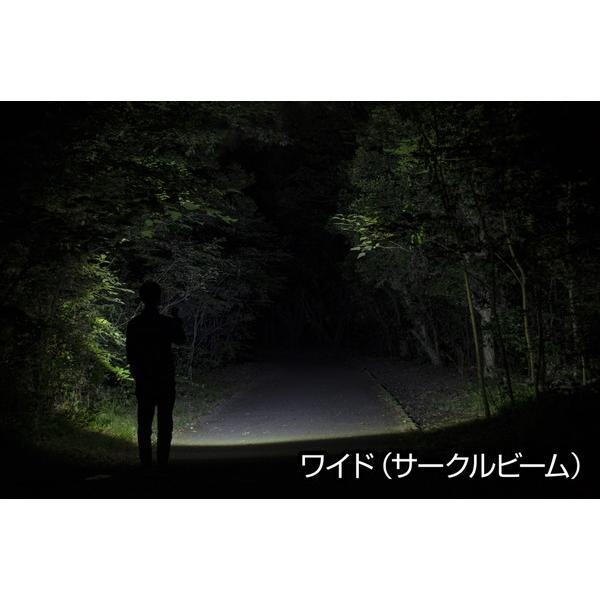 ジェントス LEDフラッシュライト　閃 SG-501 [LED /単3乾電池×2] 【864】 | GENTOS | 02