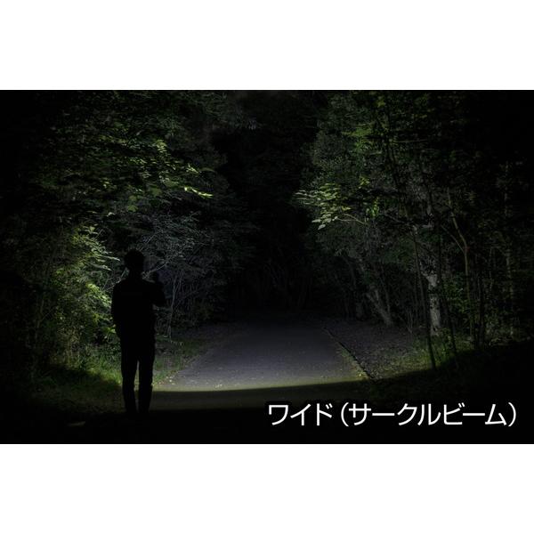 ジェントス LEDフラッシュライト　閃 SG-505 [LED /単4乾電池×3] | GENTOS | 01