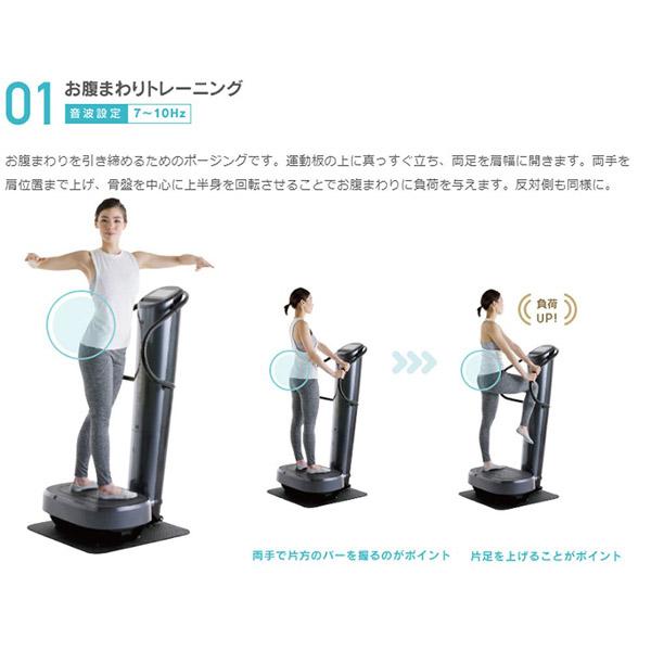 フジ医療器 音波振動フィットネス機器 ダイエットトレーナーコア DT-C1000 【お届け日時指定不可】 |  | 08