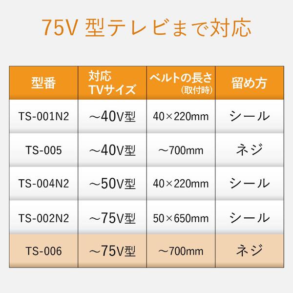 ELECOM(エレコム) TV用耐震ベルト/~75V用/ネジどめタイプ(VESA穴)/2本入 TS-006N | ELECOM | 06