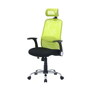 不二貿易 ヘッド付アームアップチェア ARP-01 GR  グリーン 35425 | 不二貿易