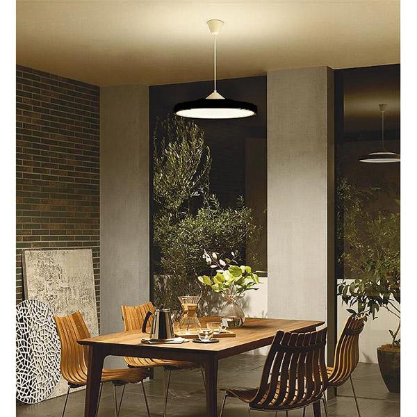 大光電機 LED導光板ペンダント DXL-81353 | DAIKO | 02