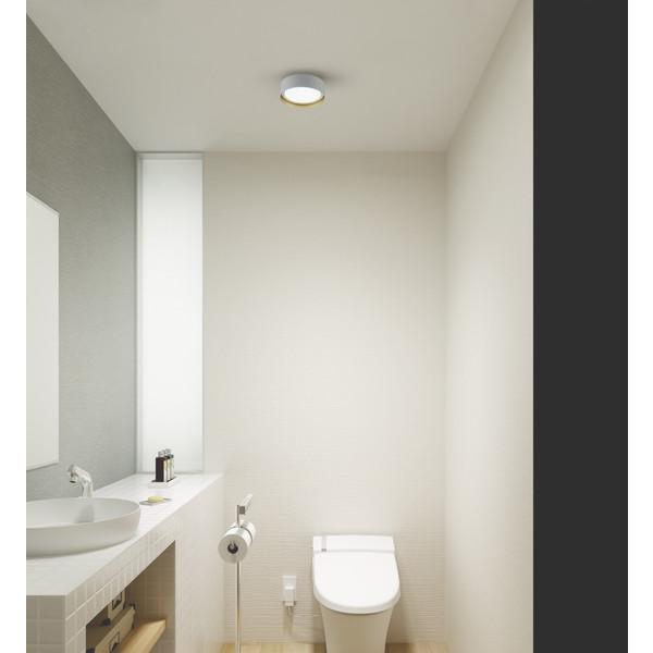 大光電機 LED小型シーリングライト   DXL-81479C ［昼光色 /LED］ |  | 01