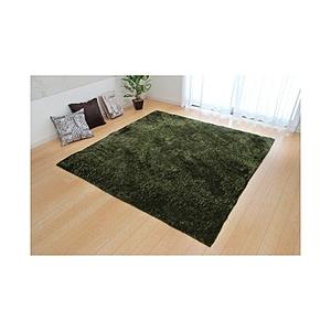 イケヒコ ラグ シャギー調　ラルジュ　200×300cm  グリーン | イケヒコ