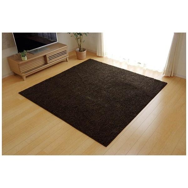 イケヒコ ラグ シャンゼリゼ 平織(190×240cm/ブラウン) | イケヒコ | 01