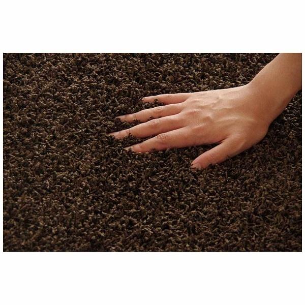 イケヒコ ラグ シャンゼリゼ 平織(190×240cm/ブラウン) | イケヒコ | 02