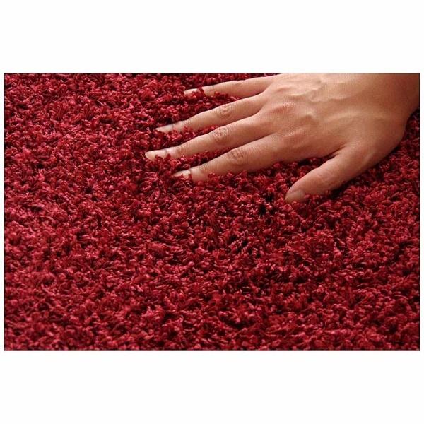 イケヒコ ラグ シャンゼリゼ 平織(190×240cm/ワイン) | イケヒコ | 02