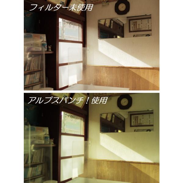 Marumi(マルミ光機) 特殊効果用フィルター 49mm  アルプスパンチ！ 【852】 | マルミ光機 | 02