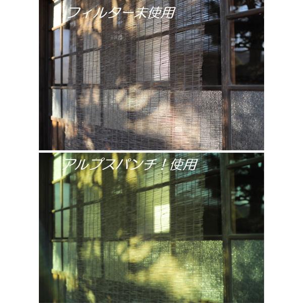 Marumi(マルミ光機) 特殊効果用フィルター 49mm  アルプスパンチ！ 【852】 | マルミ光機 | 04