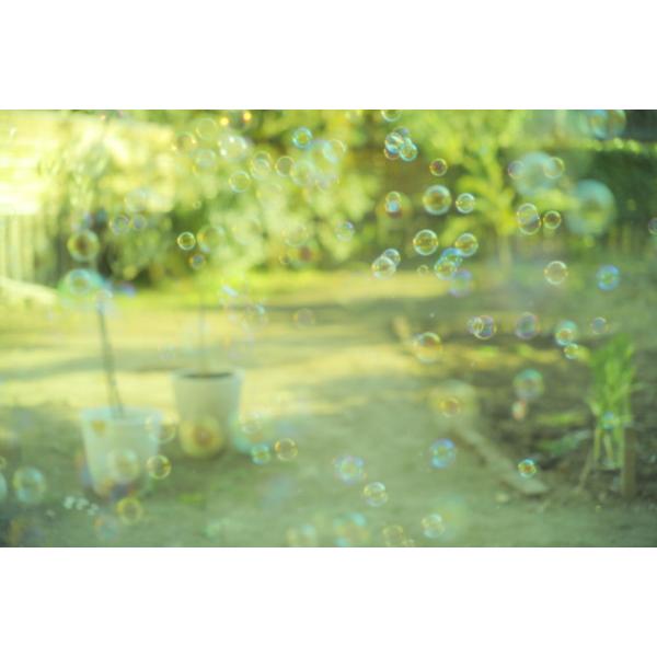 Marumi(マルミ光機) 特殊効果用フィルター 55mm  アルプスパンチ！ 【852】 | マルミ光機 | 05