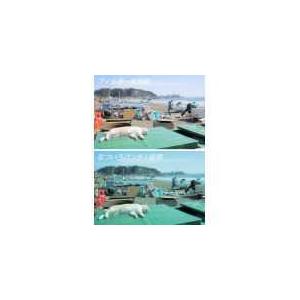 Marumi(マルミ光機) 特殊効果用フィルター 77mm  なついろパンチ！ 【852】 | マルミ光機 | 02